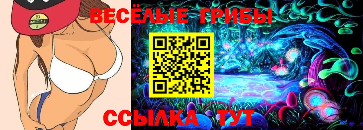 Псилоцибиновые грибы прущие грибы  Вход с VPN  Новодвинск 