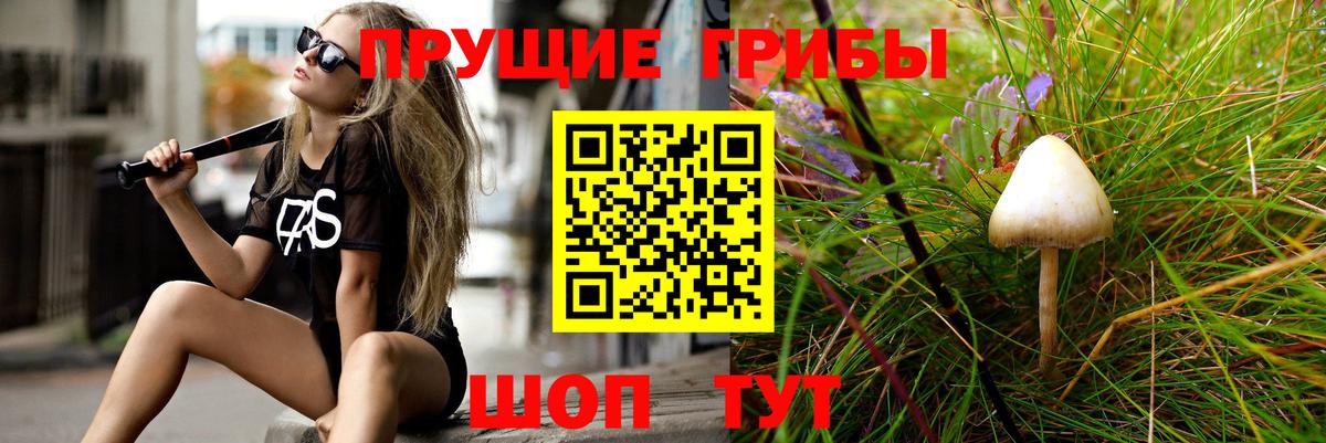 Галлюциногенные грибы Cubensis Новодвинск